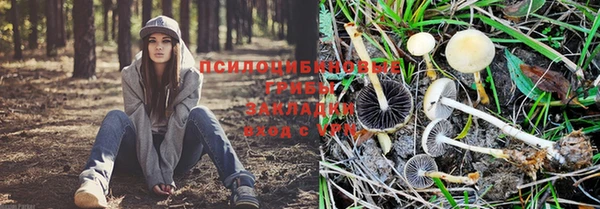 СК Баксан