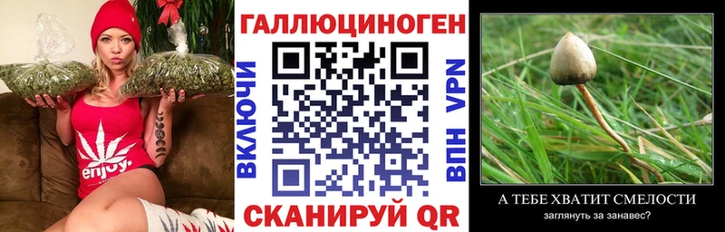 Псилоцибиновые грибы мухоморы Лакинск